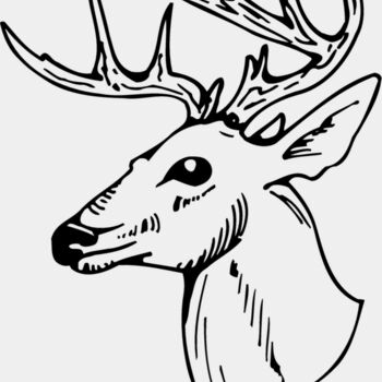 DEER018 Thumbnail