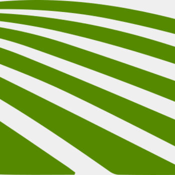 67 Rice Field Thumbnail